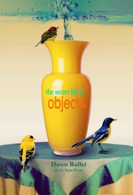 Dawn Raffel The Secret Life of Objects