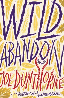 Joe Dunthorne Wild Abandon