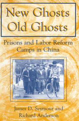 James D. Seymour - New Ghosts, Old Ghosts: Prisons and Labor Reform Camps in China