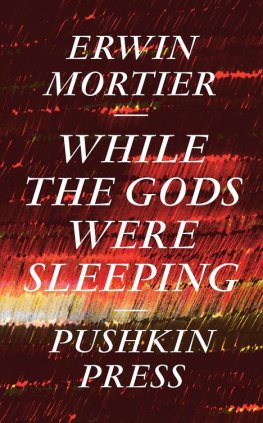 Erwin Mortier - While the Gods Were Sleeping