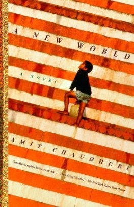 Amit Chaudhuri - A New World