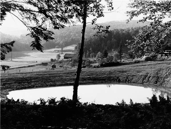 EARTH PONDS The Country Pond Makers Guide to Building Maintenance and - photo 1