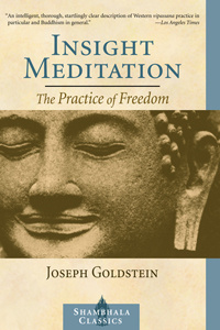 Goldstein Joseph - Seeking the heart of wisdom : the path of insight meditation