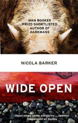 Nicola Barker - Wide Open