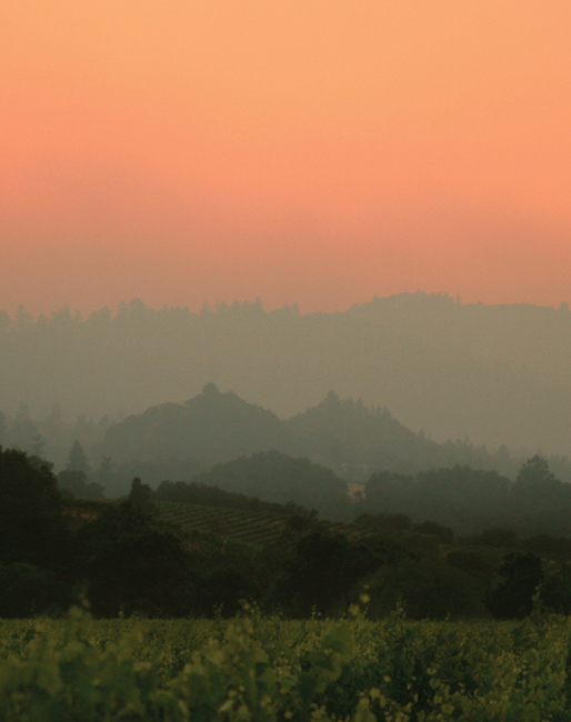 Introduction THE WINES IN SONOMA COUNTY are world-class and each year more - photo 12