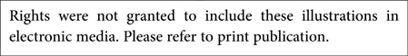 gt Acknowledgements This book has been many years in gestation and I would - photo 1