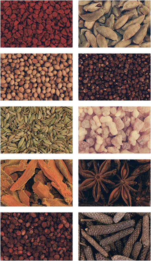 PLATE 1 Clockwise from top left annatto cardamom melegueta pepper also - photo 4