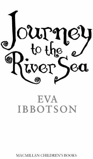 Journey to the River Sea by Eva Ibbotson For Martha Foreword Only to - photo 1
