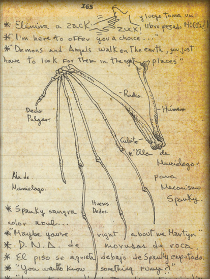 A study in wing anatomy from del Toros Blue Notebook Del Toro and Mora - photo 7