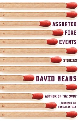 David Means - Assorted Fire Events: Stories