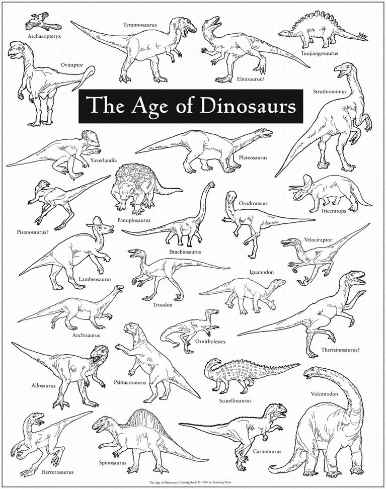 Page 1 START EXPLORING The Age of Dinosaurs A Fact-Filled Coloring - photo 2