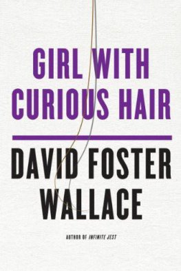 David Wallace Girl With Curious Hair