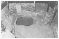 The pit in the cellar of Gary Heidniks Philadelphia house where he placed his - photo 16