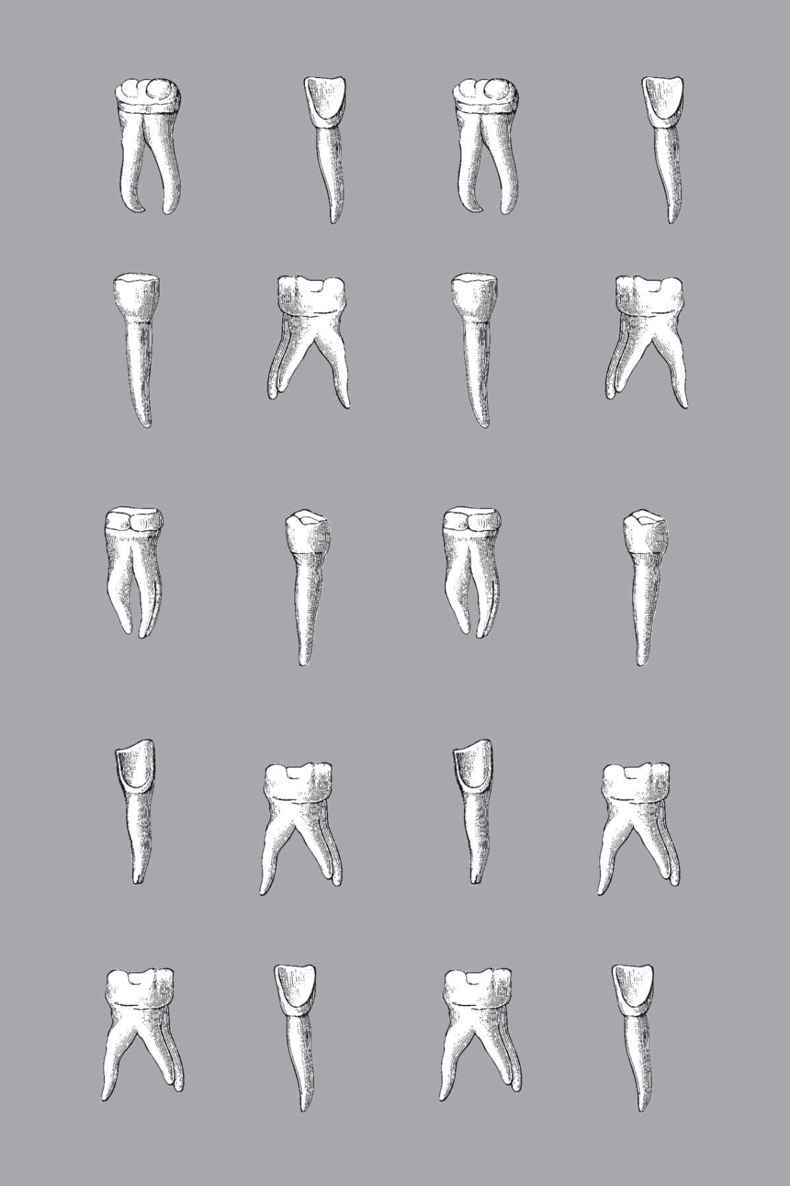 The Story of My Teeth for the Jumex factory staff - photo 3