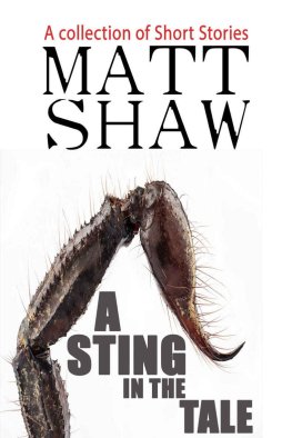 Matt Shaw - A Sting in the Tale: A Collection of Short Stories