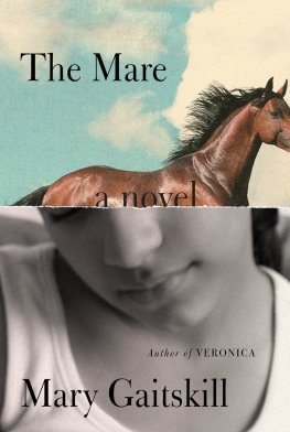 Mary Gaitskill - The Mare