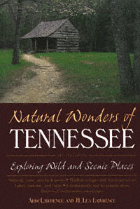 title Natural Wonders of Tennessee Exploring Wild and Scenic Places 2Nd - photo 1