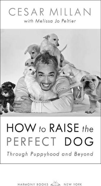 Since this book is about puppies Im dedicating it to my incredible sons Andre - photo 1