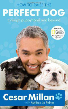 Cesar Millan - Puppyhood: How to Raise the Perfect Dog