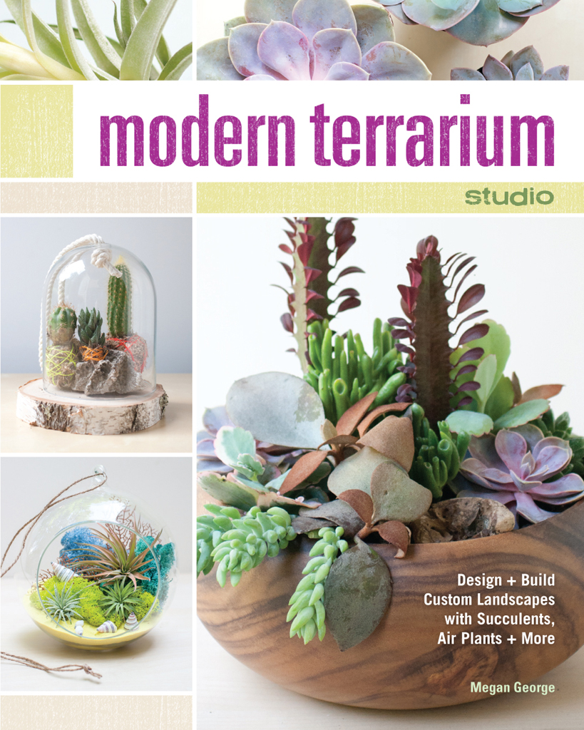 modern terrarium studio Design Build Custom Landscapes with Succulents - photo 1