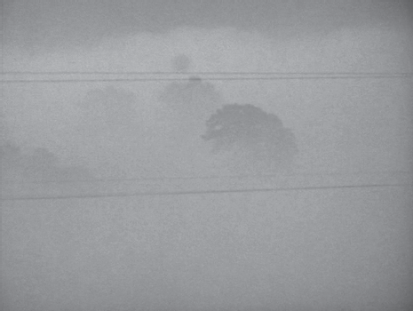 FIGURE 11 Larry Gottheim Fog Line 1970 While Fog Line is a remarkable and - photo 2