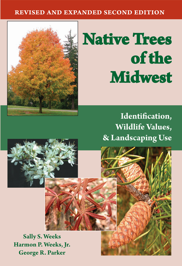 Native Trees of the Midwest Native Trees of the Midwest Identification - photo 1