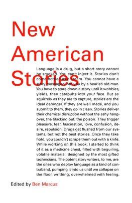 Saïd Sayrafiezadeh - New American Stories