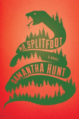 Samantha Hunt - Mr. Splitfoot