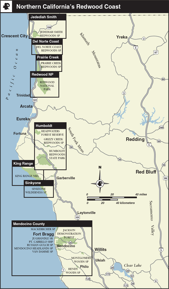 Top Trails Northern Californias Redwood Coast Must-Do Hikes for Everyone - image 4