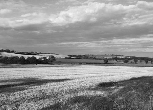 Typical Lincolnshire countryside The Lincolnshire dialect is a wonderfully - photo 1