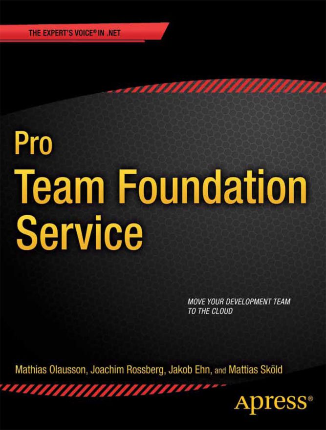 Pro Team Foundation Service - image 1