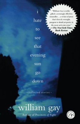 William Gay - I Hate To See That Evening Sun Go Down: Collected Stories