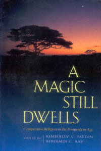 title A Magic Still Dwells Comparative Religion in the Postmodern Age - photo 1