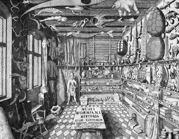 Figure 11 Ole Worms cabinet of curiosities From Museum Wormianum 1655 in - photo 4