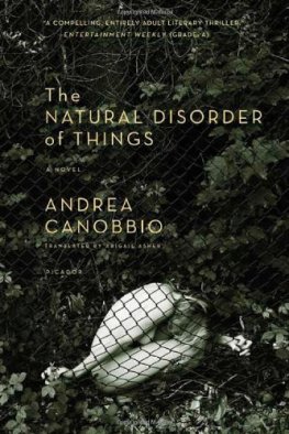 Andrea Canobbio The Natural Disorder of Things