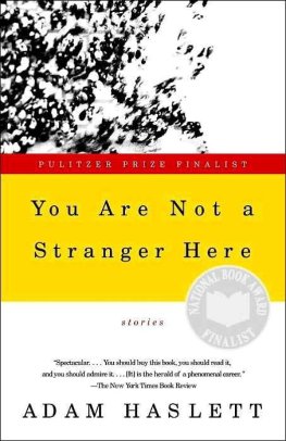 Adam Haslett - You Are Not a Stranger Here