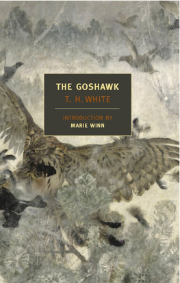 White - The goshawk