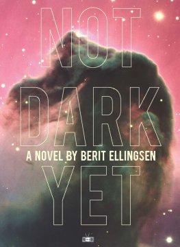 Berit Ellingsen - Not Dark Yet