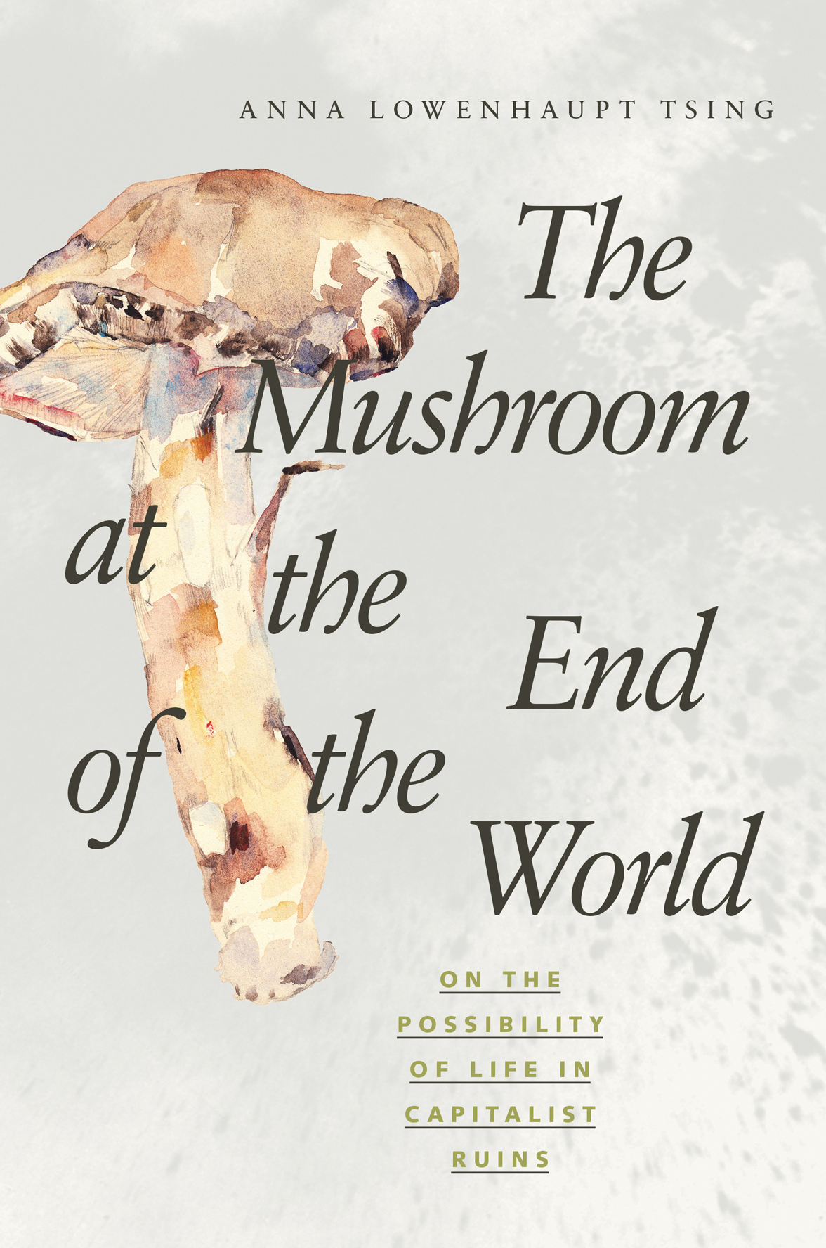 The Mushroom at the End of the World The Mushroom at the End of the World - photo 1