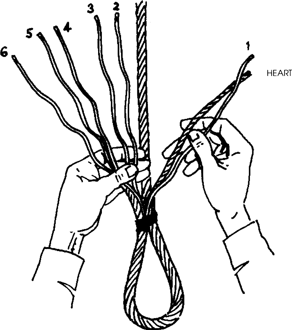 figure 1 There are also various ways of completing the first full tuck the - photo 2