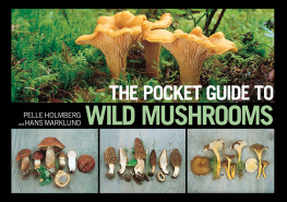 Hedström Ellen - The pocket guide to wild mushrooms : helpful tips for mushrooming in the field