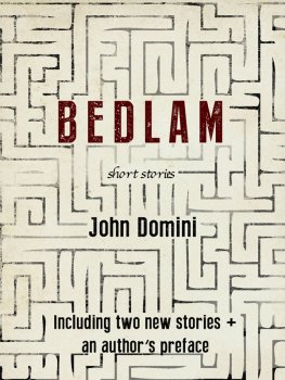 John Domini - Bedlam and Other Stories