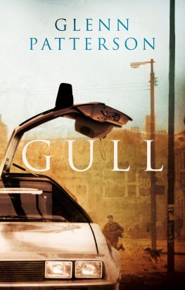 Glenn Patterson - Gull