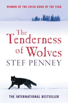 Stef Penney - The Tenderness of Wolves