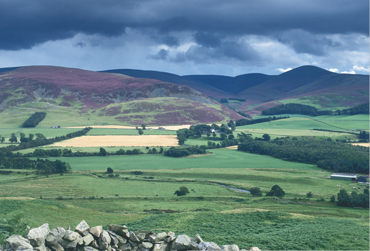 IN THE FOOTSTEPS OF WILLIAM WALLACE The National Wallace Monument at - photo 1