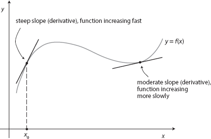 Figure 11 The derivative is the slope of the tangent line But Professor - photo 2