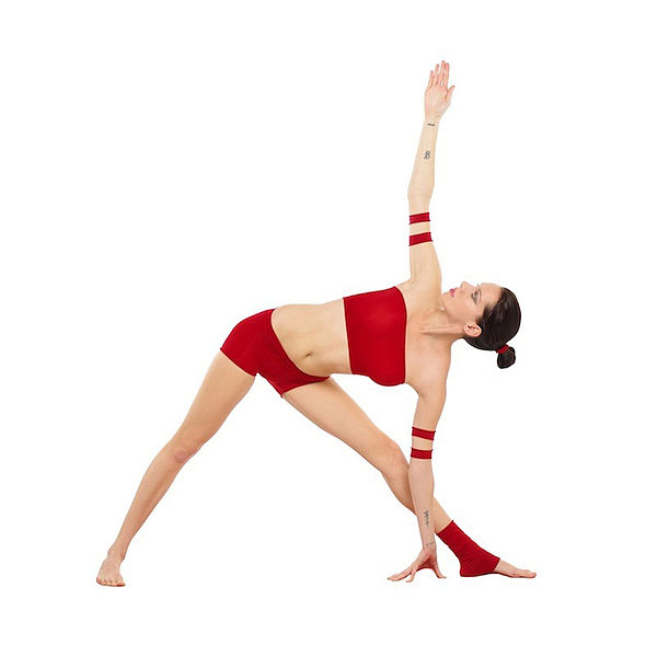 Photo Source Wikipediaorg Parivrtta Trikonasana or Revolved Triangle Pose - photo 4