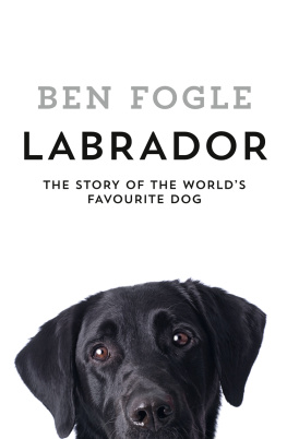 Ben Fogle - Labrador: The Story of the Worlds Favourite Dog