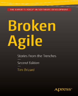 Tim J. Brizard - Broken Agile: Second Edition