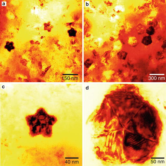 Fig 2 Transmission electron micrographs of boron nitride nanoparticles - photo 2